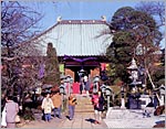 【大黒天】真言宗智山派　密蔵院