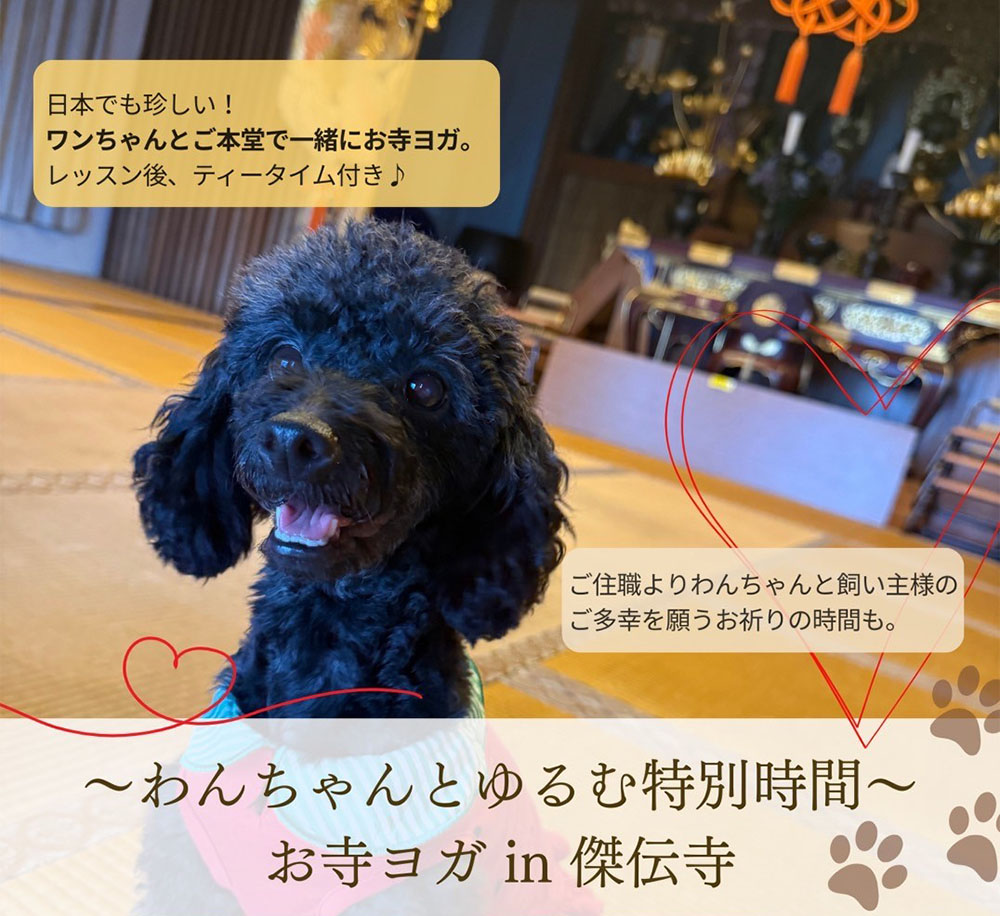 わんちゃん連れOKのお寺ヨガ in 傑傳寺